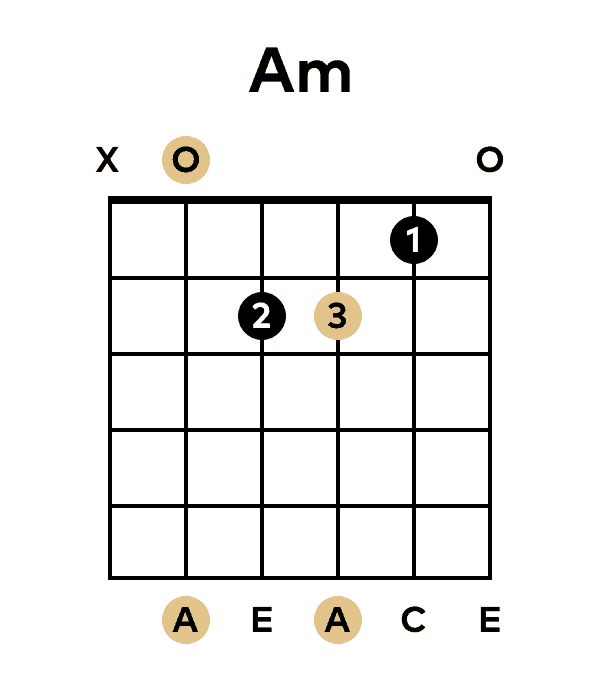 The A Minor Chord in the Open Position on Guitar